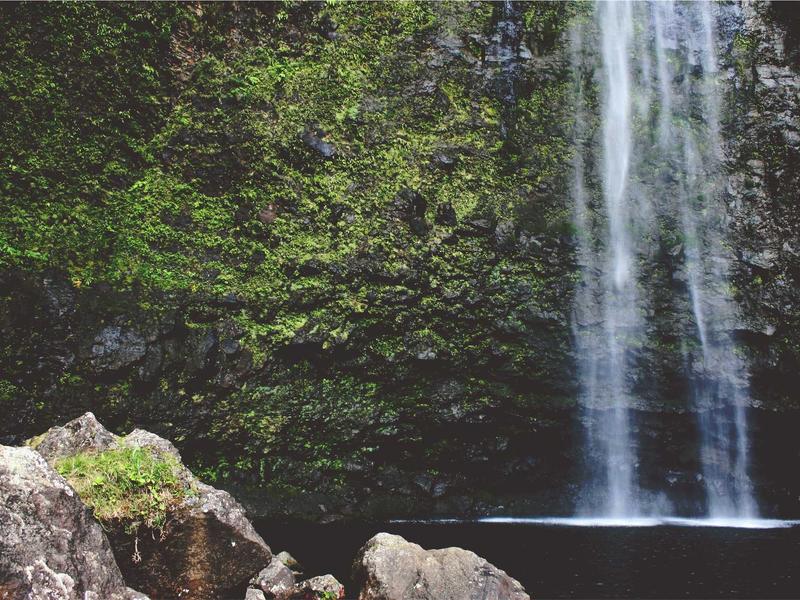 partners screenshot 4